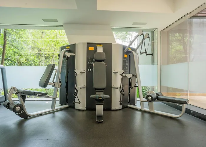 Apartment Stylish Ph In Condesa With Pool Gym And Coworking Mexico City