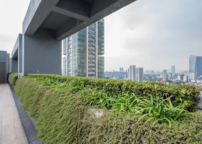 Stylish Ph In Condesa With Pool Gym And Coworking Apartment